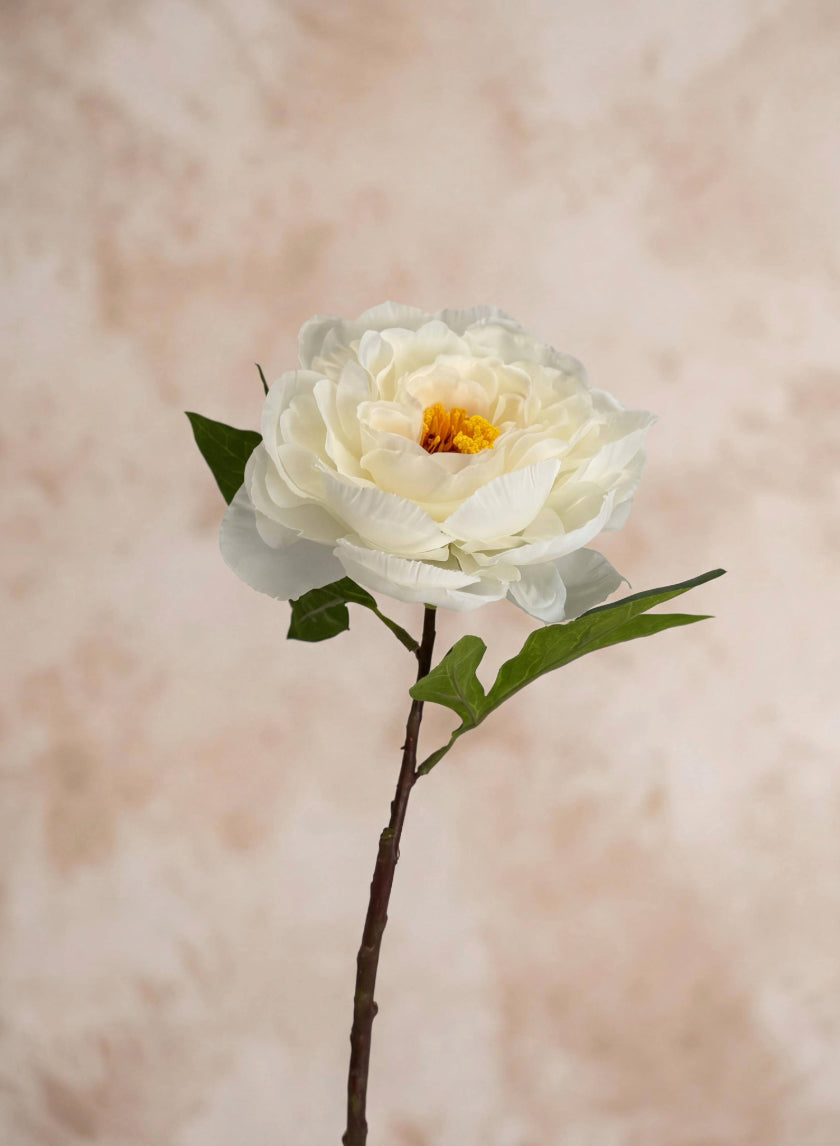 18in Long White Peony Stem, Case of 12