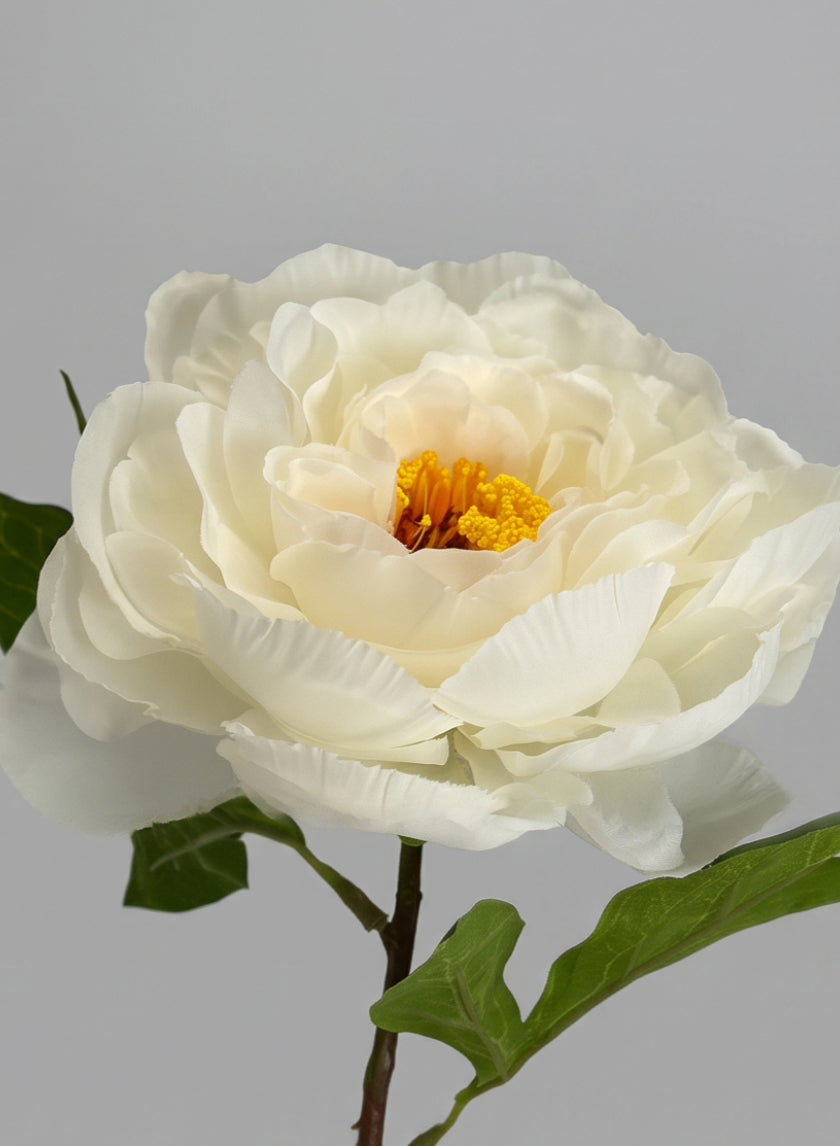18in Long White Peony Stem, Case of 12
