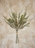 21in Long Berzelia Bundle, Case of 12 Decor Jamali Garden