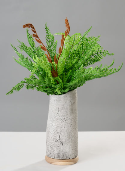 12in Long Kimberley Fern Bush, Case of 12 Decor Jamali Garden