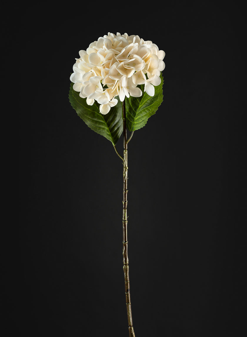 22in Long White Hydrangea Spray, Case of 12 – Jamali Garden