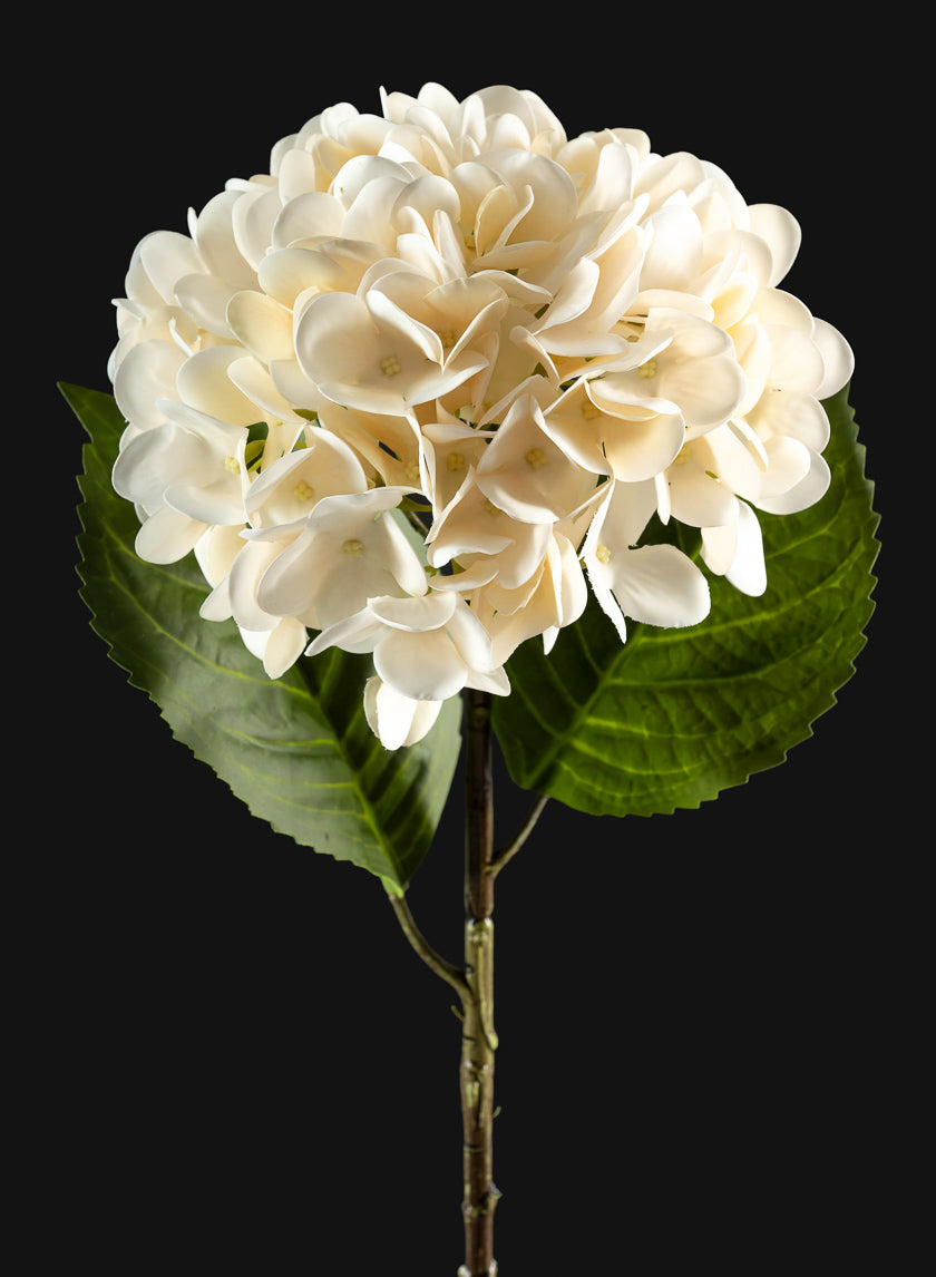 22in Long White Hydrangea Spray, Case of 12 Decor Jamali Garden