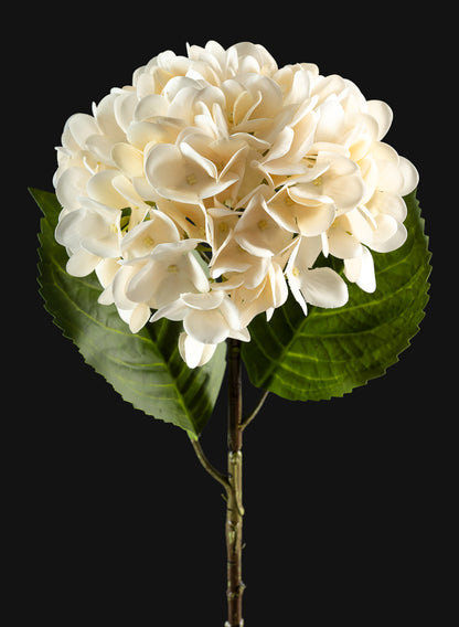 22in Long White Hydrangea Spray, Case of 12 Decor Jamali Garden