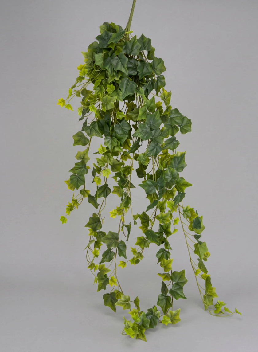 50in Long Ivy Bush Hanger, Case of 6 Decor Jamali Garden