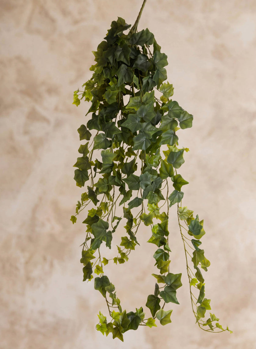 50in Long Ivy Bush Hanger, Case of 6 Decor Jamali Garden