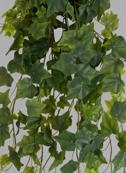 50in Long Ivy Bush Hanger, Case of 6 Decor Jamali Garden