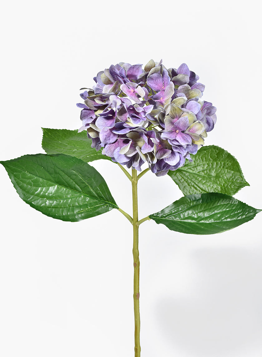 lavender hydrangea plant 28in Long Antique Purple Hydrangea, Case of 12 – Jamali Garden