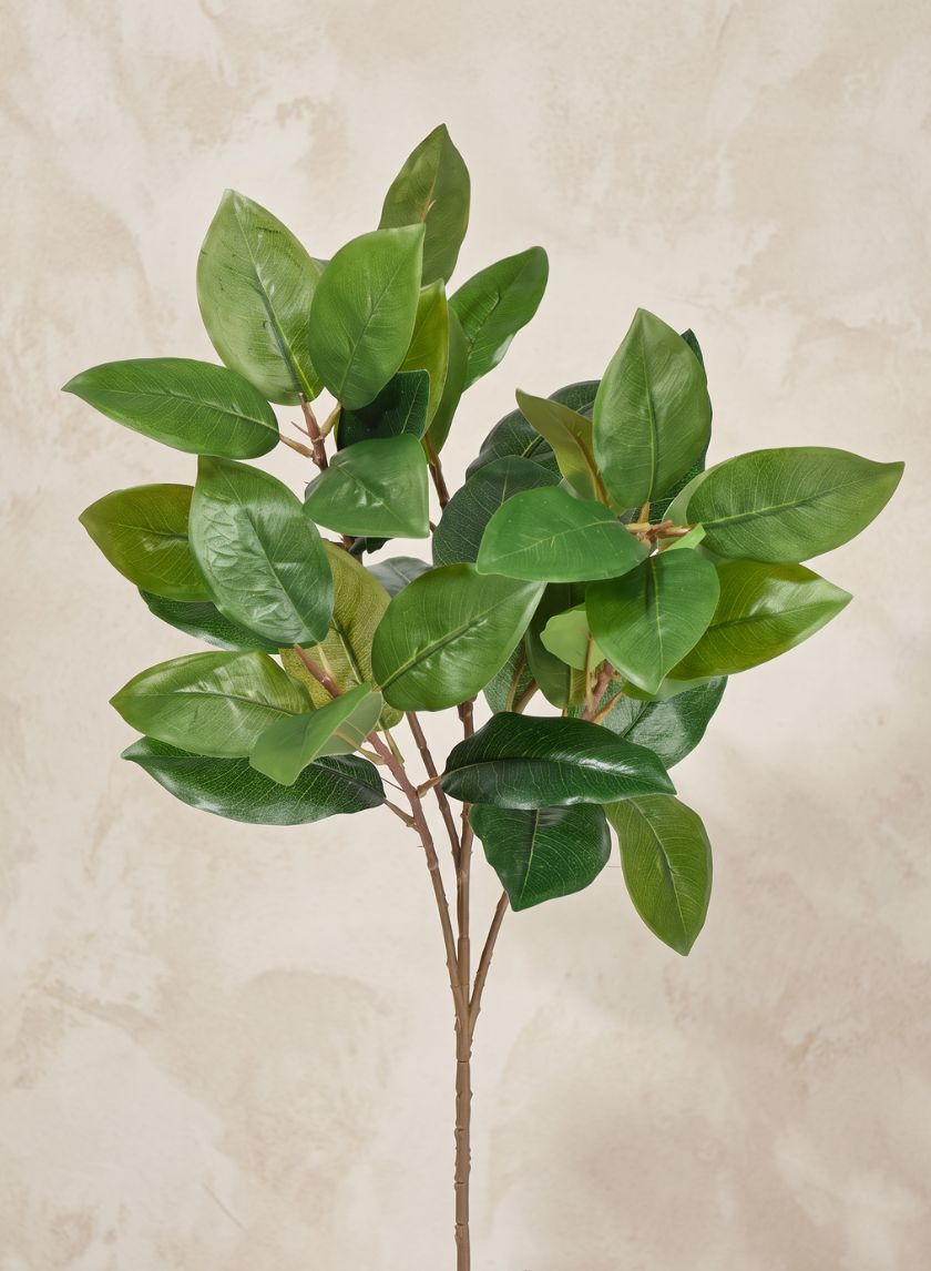 25in Long Green Magnolia Leaf Spray, Case of 12