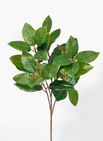 25in Long Green Magnolia Leaf Spray, Case of 12 Decor Jamali Garden