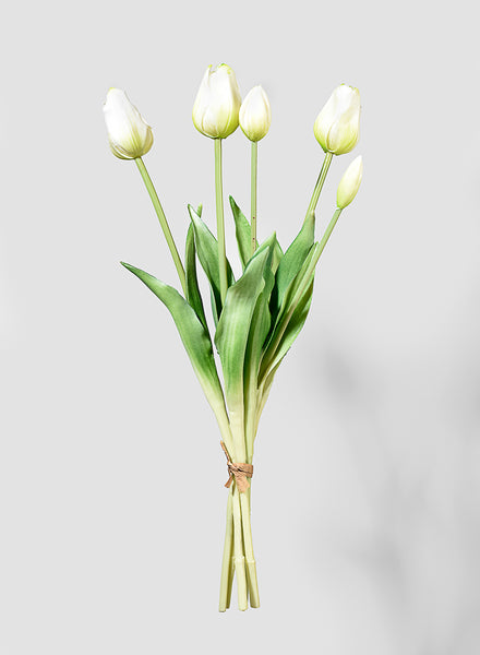 19in Cream Tulip Bunch | Jamali Garden