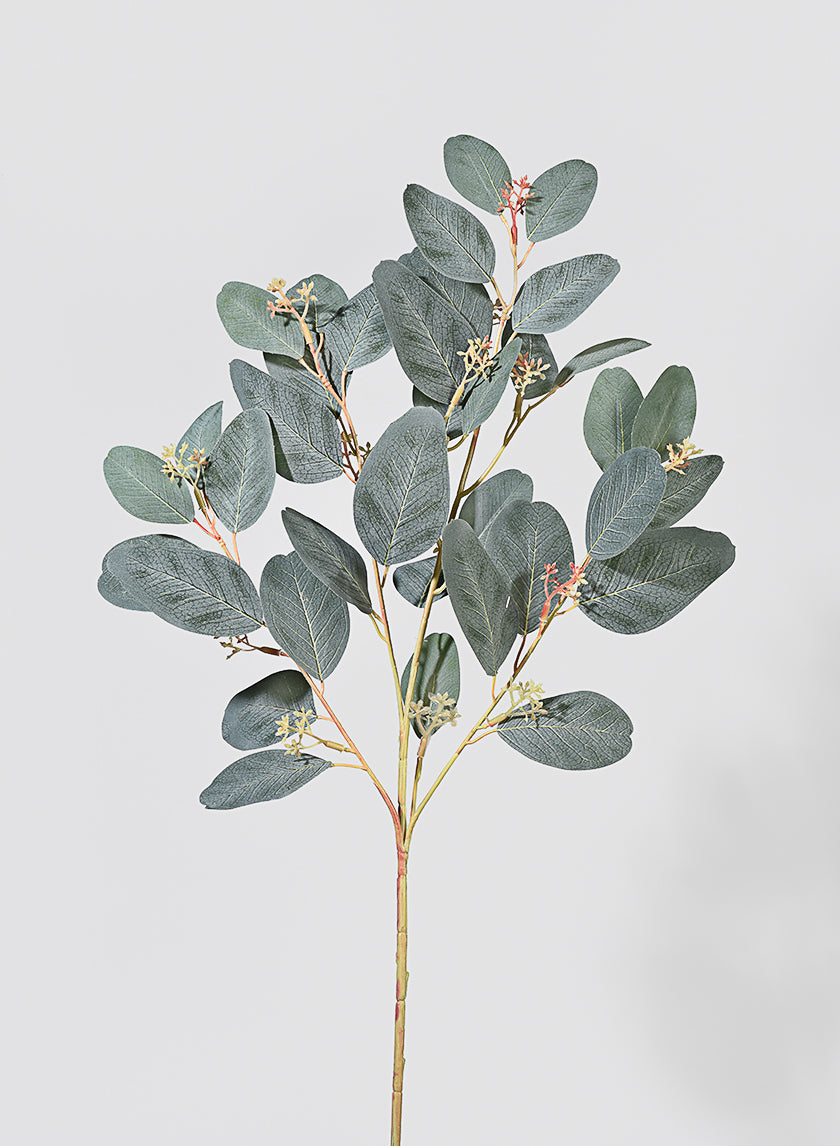 where to buy seeded eucalyptus plants 30in Long Green Seeded Eucalyptus Pick, Case of 12