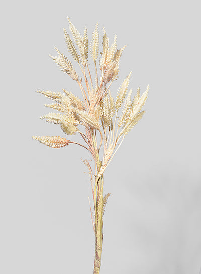 25in Tall Bunny Tail Grass Branch