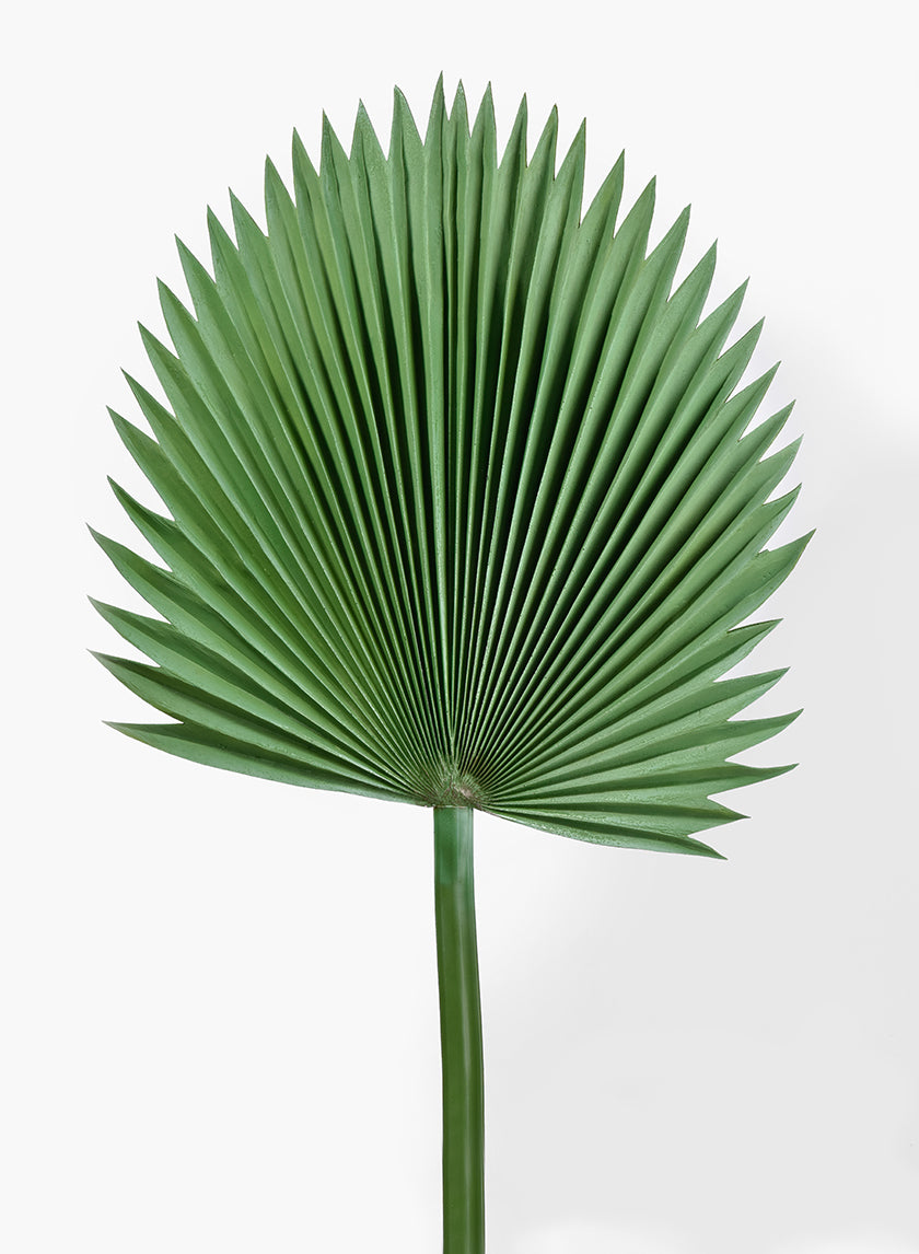 ruffled fan palm plant Faux Ruffled Fan Palm CASE OF 12