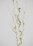 36in Long Champagne Curly Vine, Case of 12 Decor Jamali Garden
