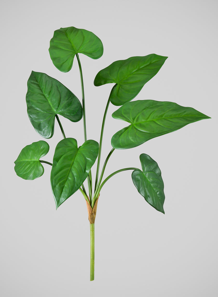 27in Long Green Anthurium Leaf Spray, Case of 12 – Jamali Garden