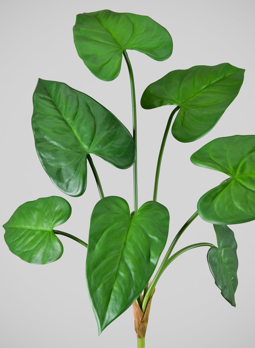 27in Long Green Anthurium Leaf Spray, Case of 12 Decor Jamali Garden
