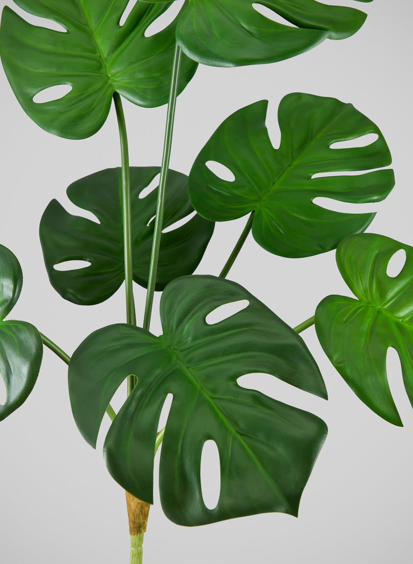 27in Long Green Monstera Leaf Spray, Case of 12 – Jamali Garden