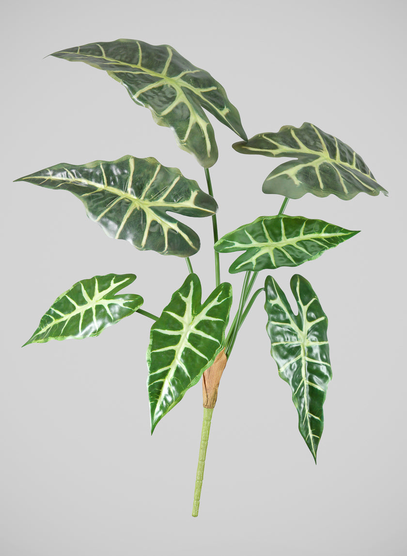 30in Long Alocasia Polly Spray, Case of 12 Decor Jamali Garden
