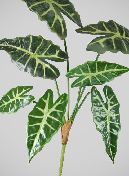 30in Long Alocasia Polly Spray, Case of 12 Decor Jamali Garden