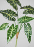 30in Long Alocasia Polly Spray, Case of 12 Decor Jamali Garden