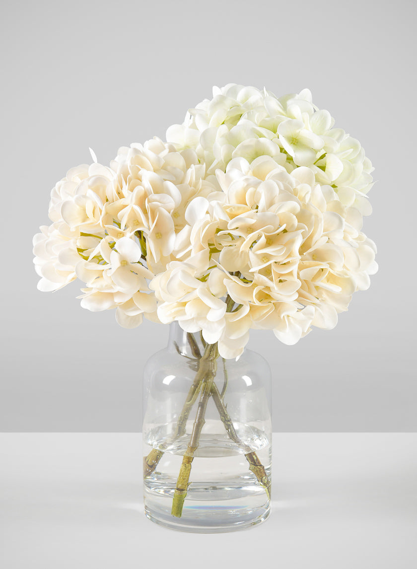 Long White Hydrangea in Clear Glass Vase
