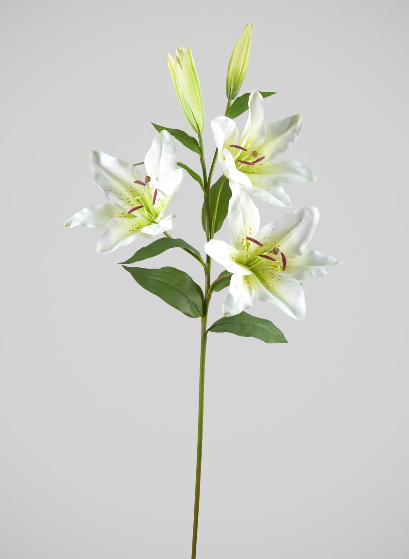 Lilly　0504 35in Long Cream Asiatic Lily Spray, Case of 6 – Jamali Garden