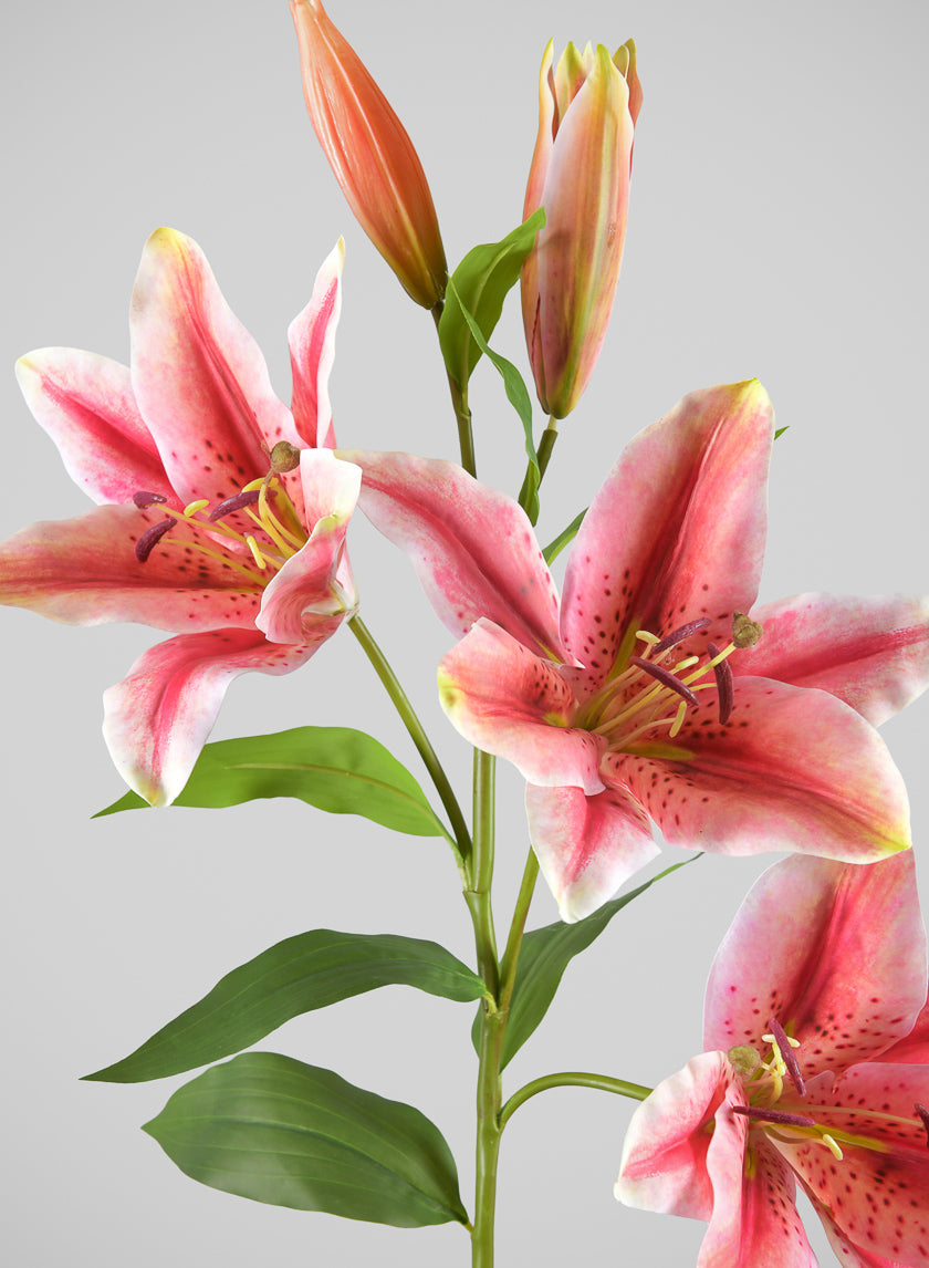 35in Long Mauve Asiatic Lily Spray, Case of 6 Decor Jamali Garden