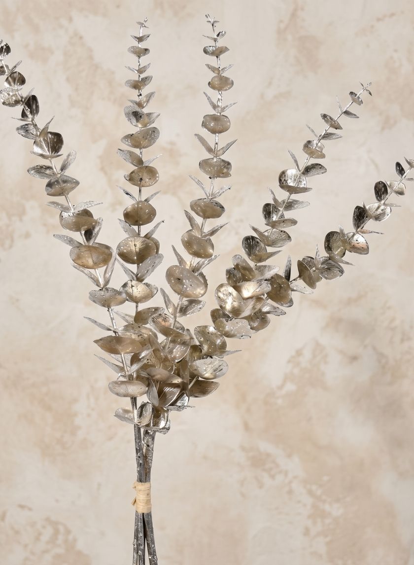 26in Long Champagne Eucalyptus Pick Decor Jamali Garden