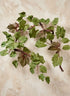59in Long Grape Leaf Garland, Case of 6 Decor Jamali Garden