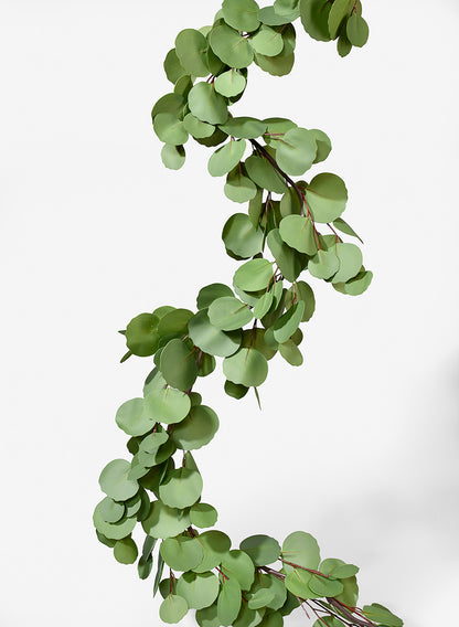 63in Long Silver Dollar Eucalyptus Garland Decor Jamali Garden