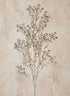 19in Long Glittery Champagne Rosemary Grass Spray, Case of 12 Decor Jamali Garden