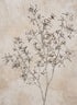 27in Long Shiny Champagne Berry Spray, Case of 12 Decor Jamali Garden