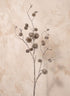 34in Long Glittery Champagne Chestnut Spray, Case of 12 Decor Jamali Garden