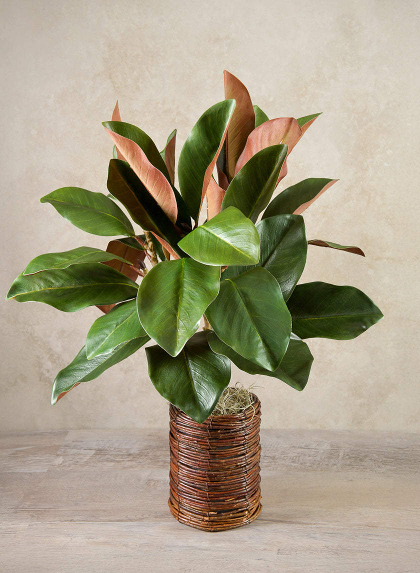 Sekong Basket Vase Decor Jamali Garden