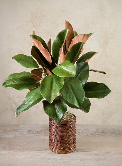 Sekong Basket Vase Decor Jamali Garden