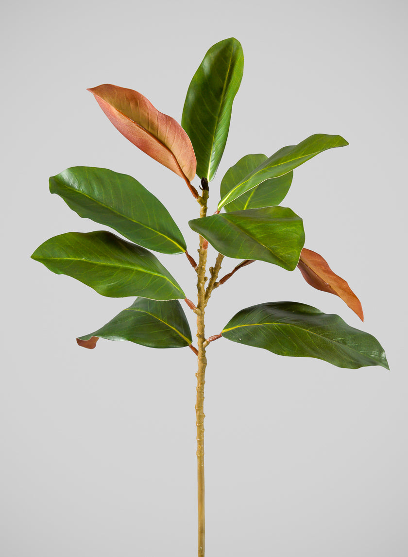 21in Long Magnolia Spray, Case of 12 Decor Jamali Garden