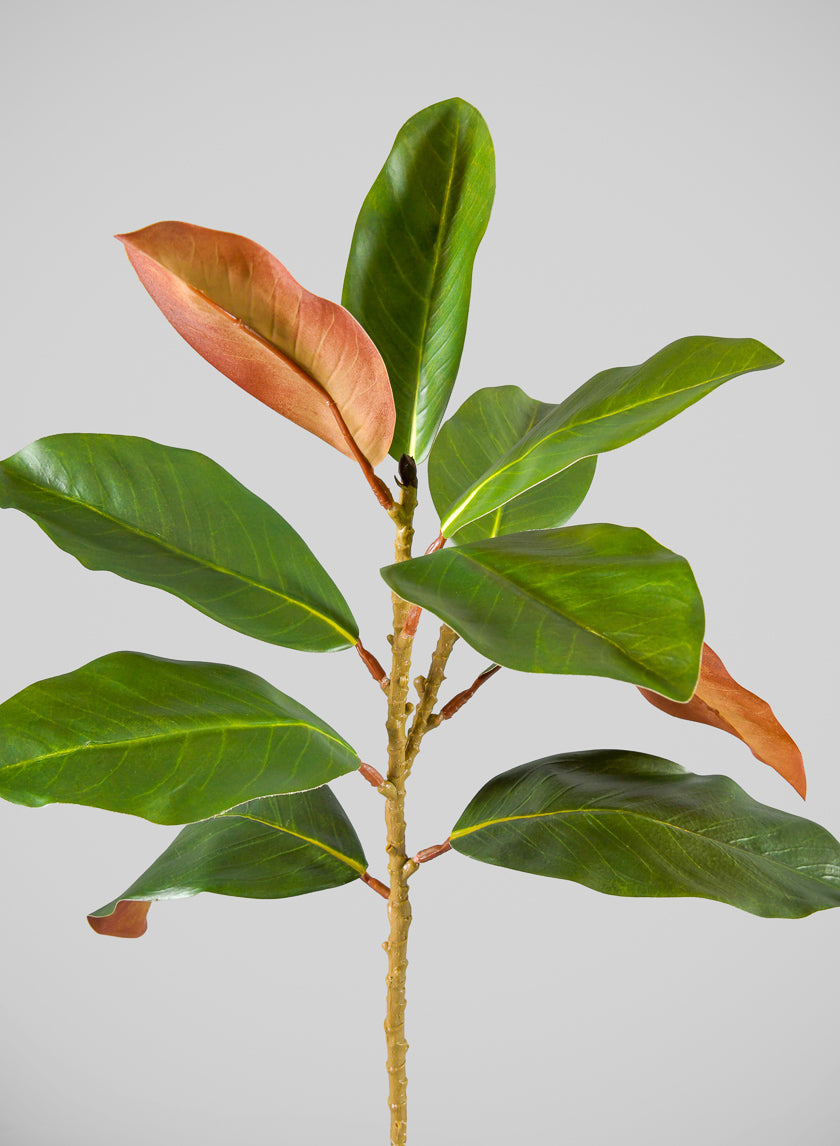 21in Long Magnolia Spray, Case of 12 Decor Jamali Garden