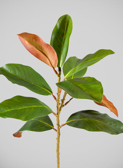 21in Long Magnolia Spray, Case of 12 Decor Jamali Garden