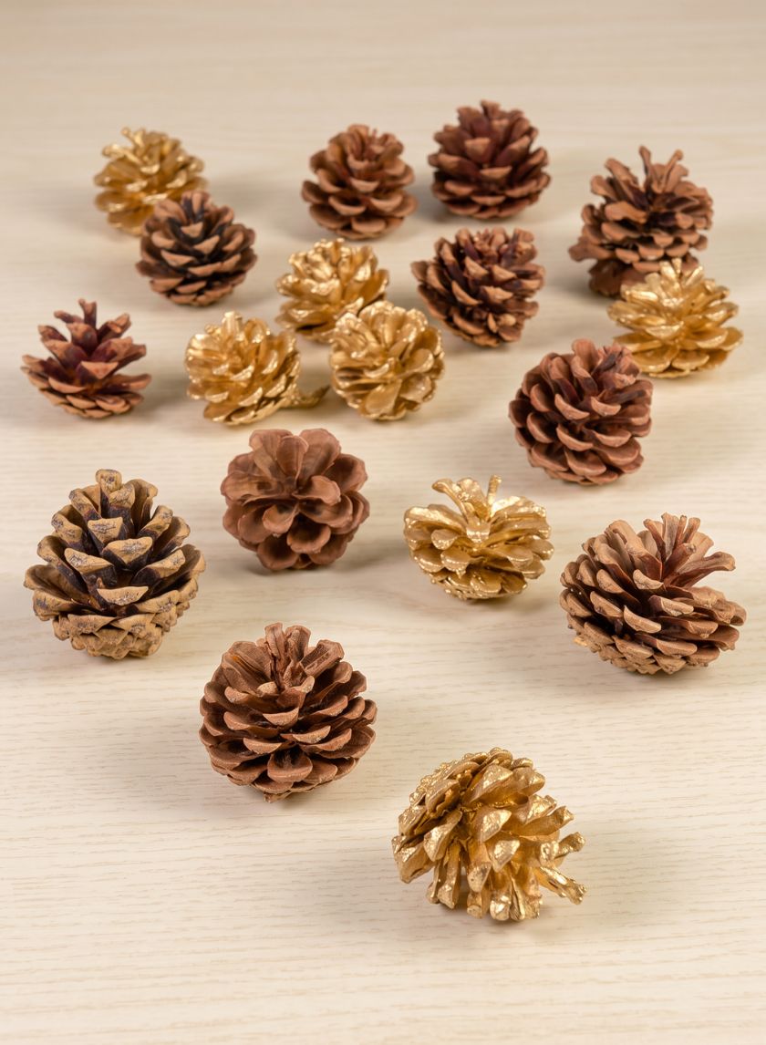 2in Long Bag of Assorted 18 Pinecones Decor Jamali Garden