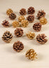 2in Long Bag of Assorted 18 Pinecones Decor Jamali Garden