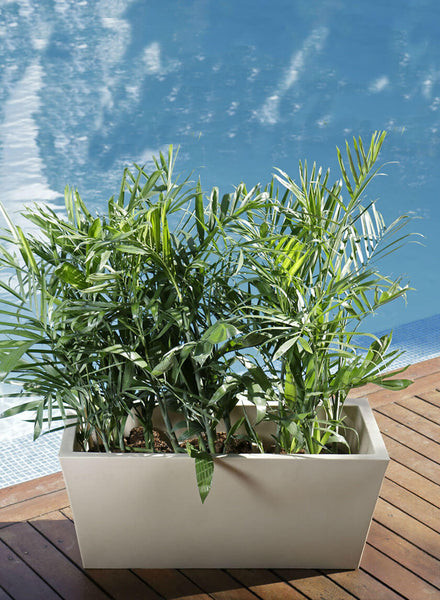 置物 Waiting in Vain Mayne Fairfield 20x36-Inch Self-Watering Rectangle Planter – Mayne