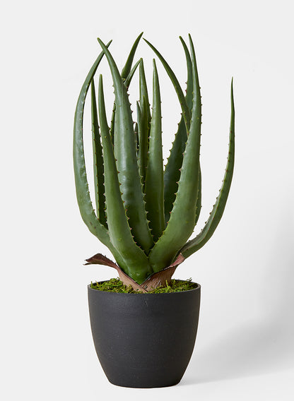 plastic aloe vera plant 18in Faux Aloe Plant | Potted Plants