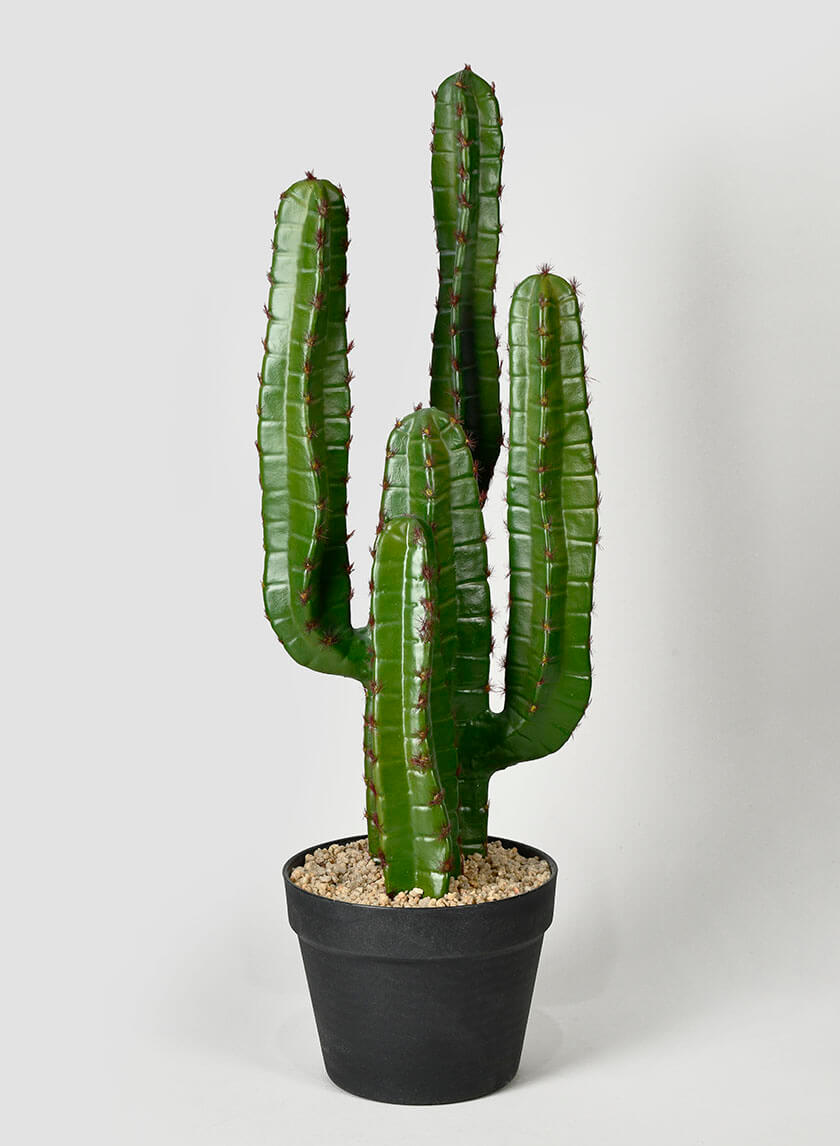 small plastic cactus plants 26in Tall Candelabra Cactus Plant