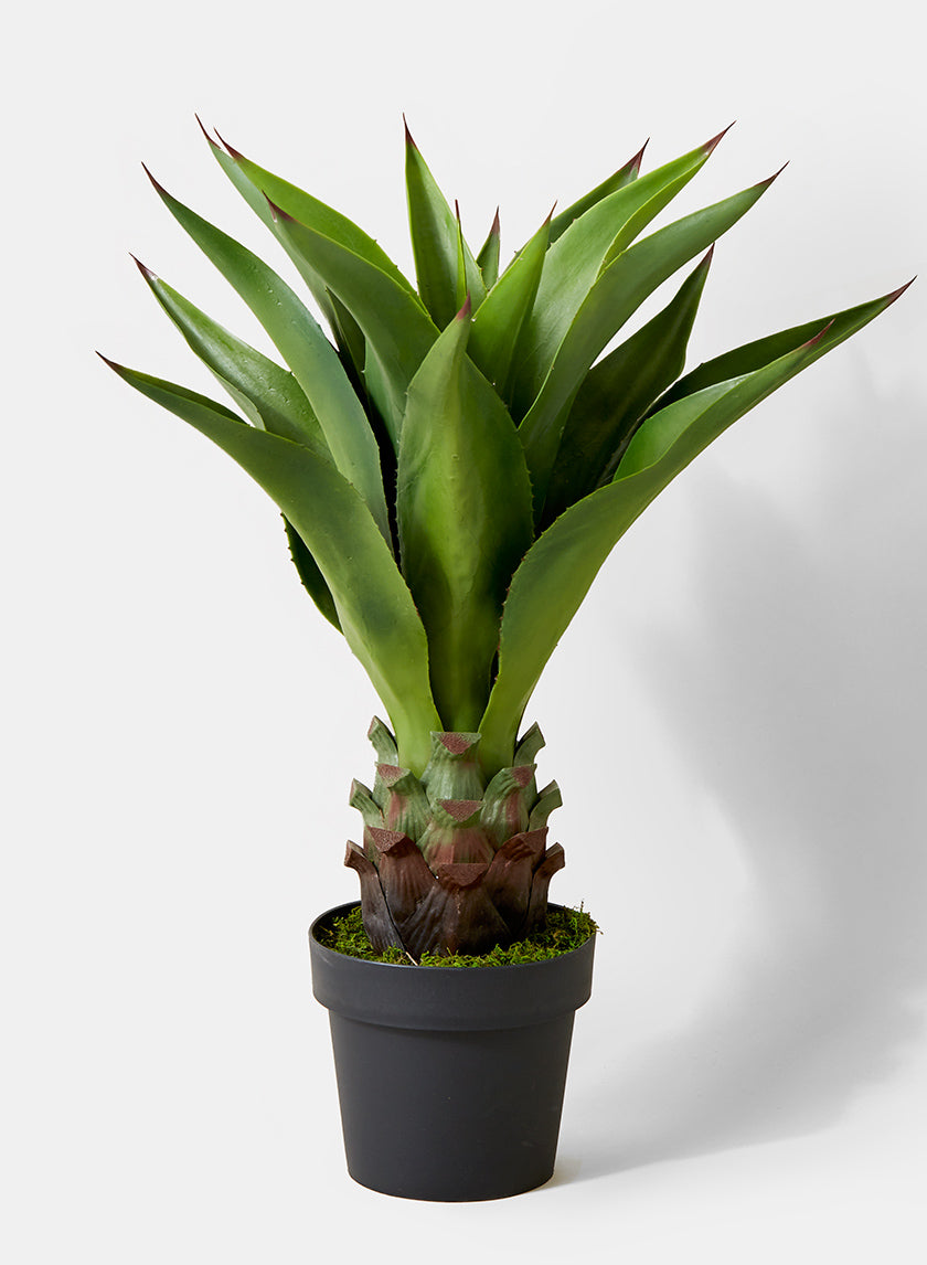 mahalia plastic plants 29in Agave Plant