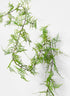 58in Long Asparagus Fern Garland, Case of 12 Decor Jamali Garden