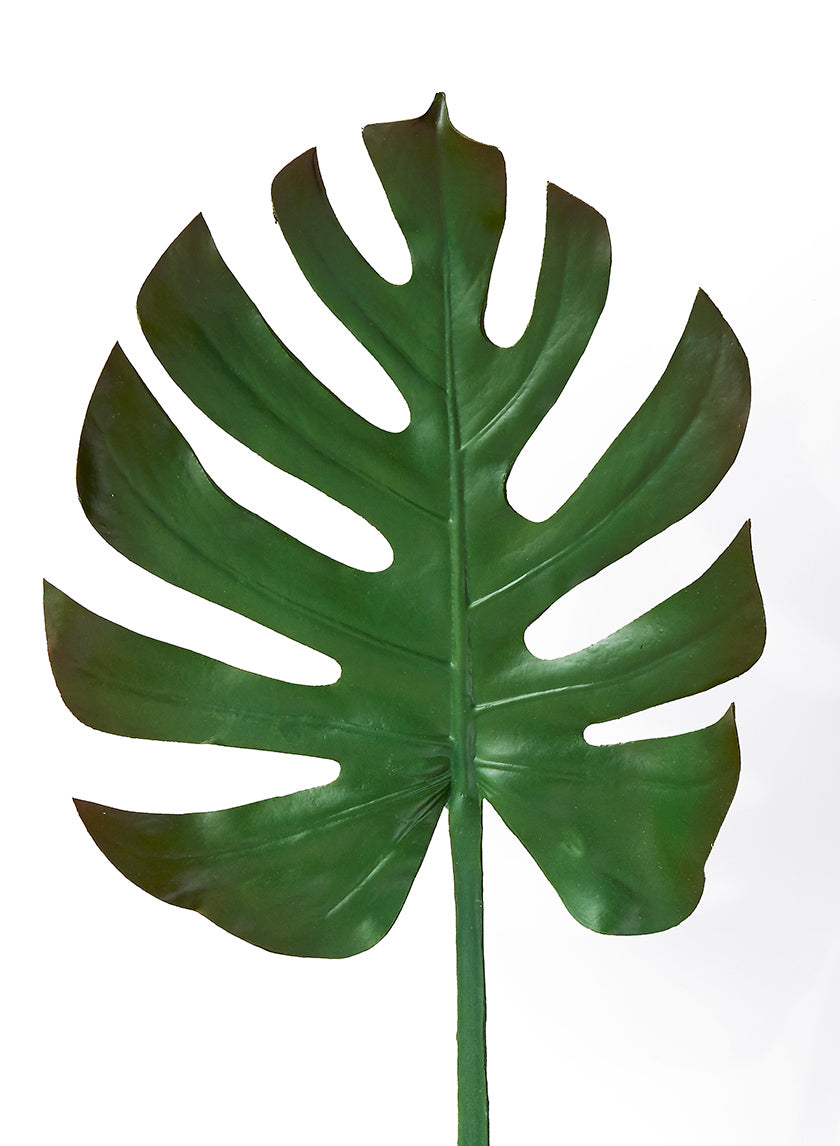 monstera turtle leaf plant 29in Long Turtle Leaf Spray, Case of 12 – Jamali Garden