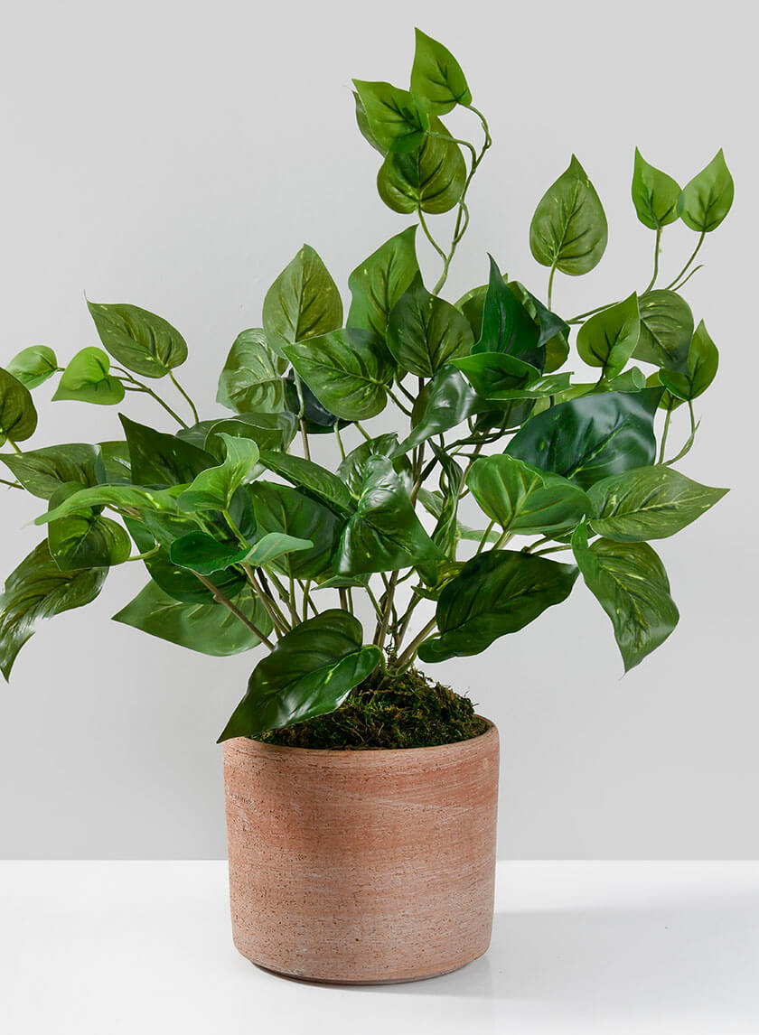 artificial pothos plants 16.5in Tall Potted Pothos