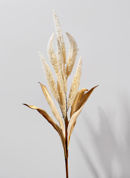 35in Long Beige Amaranth Reed, Case of 12 Decor Jamali Garden