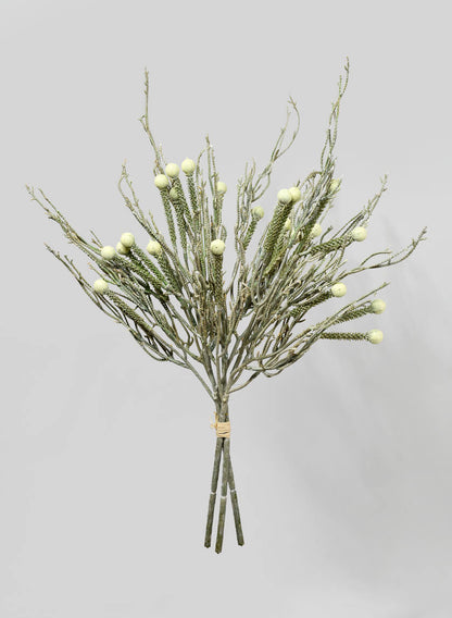 21in Long Berzelia Bundle, Case of 12 Decor Jamali Garden