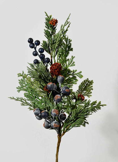 14in Long Blueberry Cypress Pick, Case of 12 Decor Jamali Garden